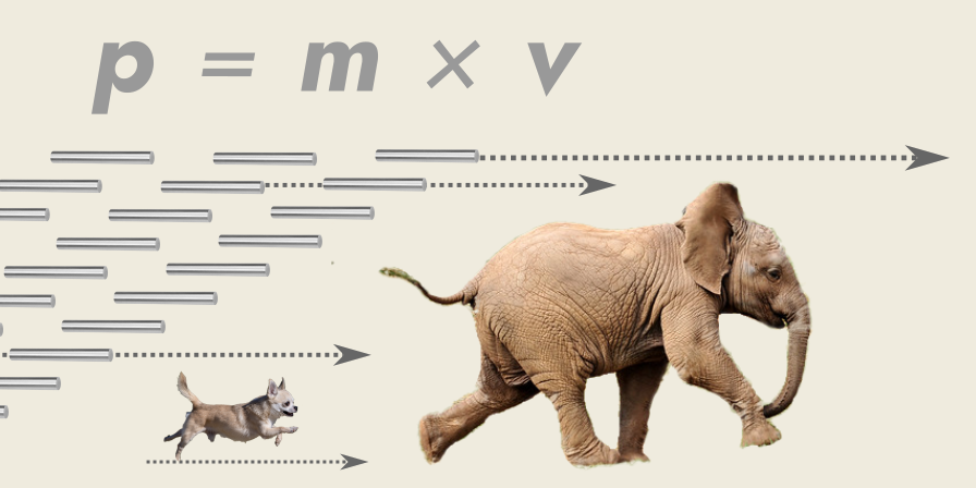 Equation for momentum (p = m × v) over a baby elephant and a Chihuahua running to the right.