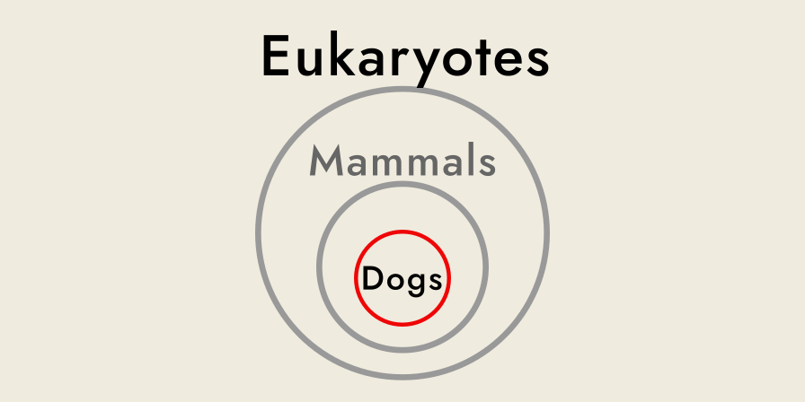 three concentric circles, labelled from largest to smallest as 'Eukaryotes', 'Mammals' and 'Dogs'.