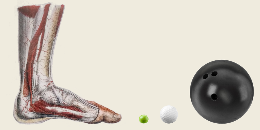 A disembodied foot, beside a pea, a golfball and a bowling ball