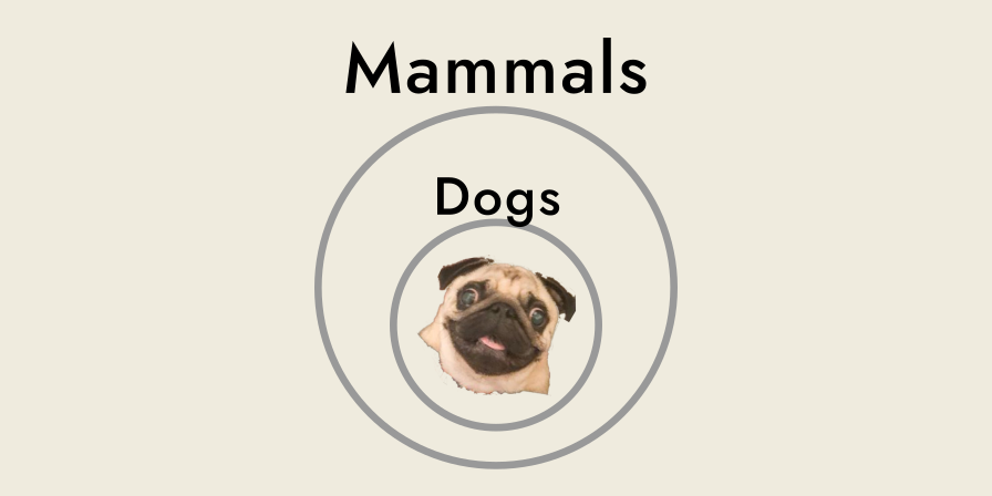 a circle labelled 'mammals' containing a circle labelled 'dogs', which contains a stupid looking pug.