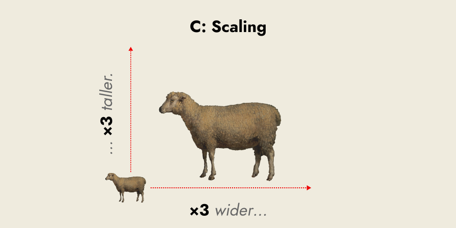 scaling a small sheep to a large one three times its width and height